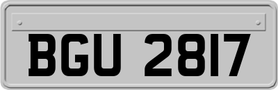 BGU2817