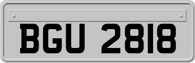 BGU2818