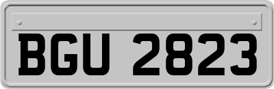 BGU2823