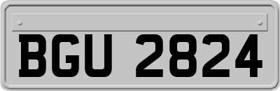 BGU2824