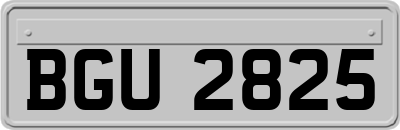 BGU2825