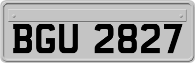 BGU2827