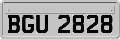 BGU2828