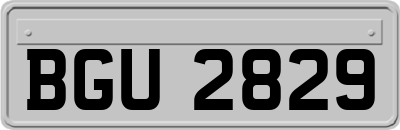 BGU2829