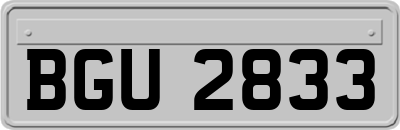 BGU2833