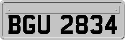 BGU2834