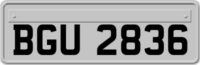 BGU2836