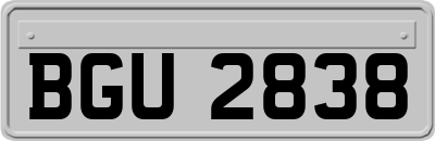 BGU2838