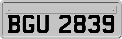 BGU2839