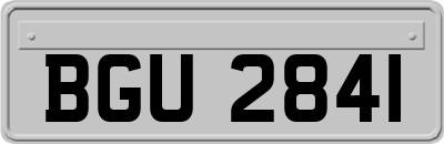 BGU2841