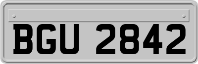 BGU2842