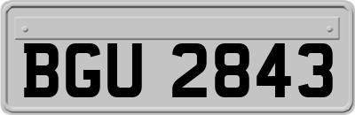 BGU2843