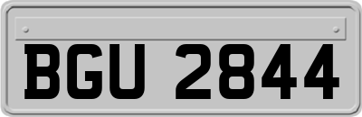 BGU2844