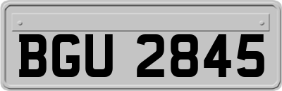 BGU2845