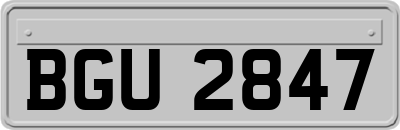 BGU2847