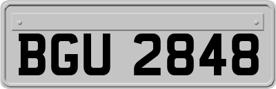 BGU2848