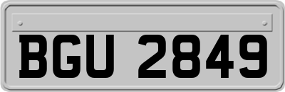 BGU2849