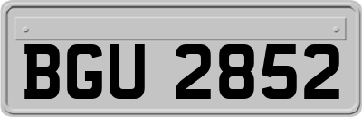BGU2852