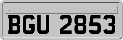 BGU2853