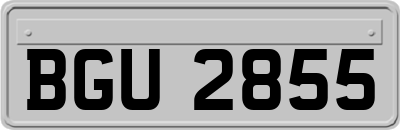 BGU2855