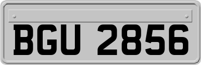 BGU2856