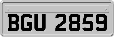 BGU2859
