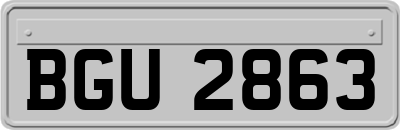 BGU2863