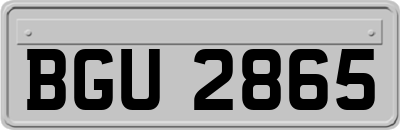 BGU2865