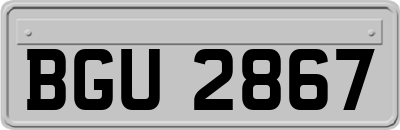 BGU2867
