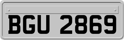BGU2869