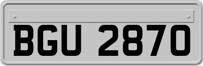 BGU2870