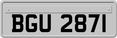 BGU2871