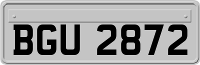 BGU2872
