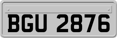 BGU2876