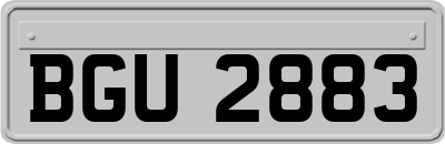 BGU2883