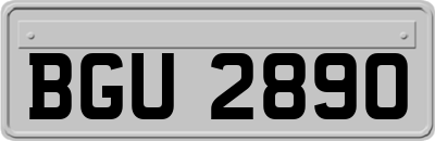 BGU2890