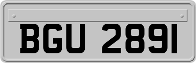 BGU2891
