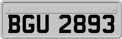 BGU2893