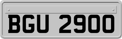 BGU2900