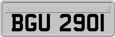 BGU2901