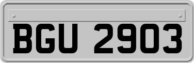 BGU2903
