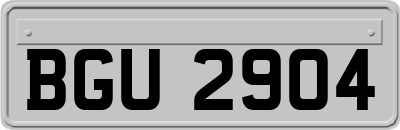 BGU2904