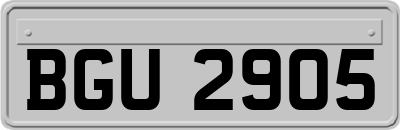 BGU2905