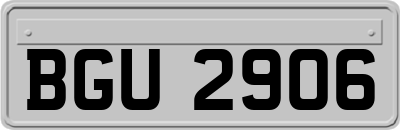 BGU2906
