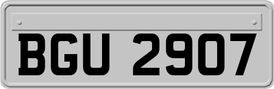 BGU2907