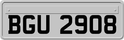 BGU2908