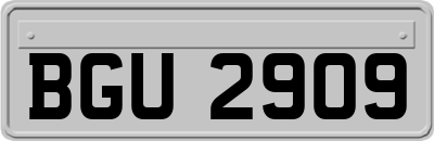 BGU2909