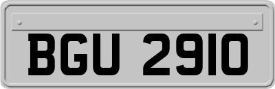 BGU2910