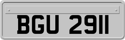 BGU2911