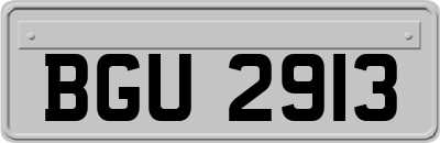 BGU2913